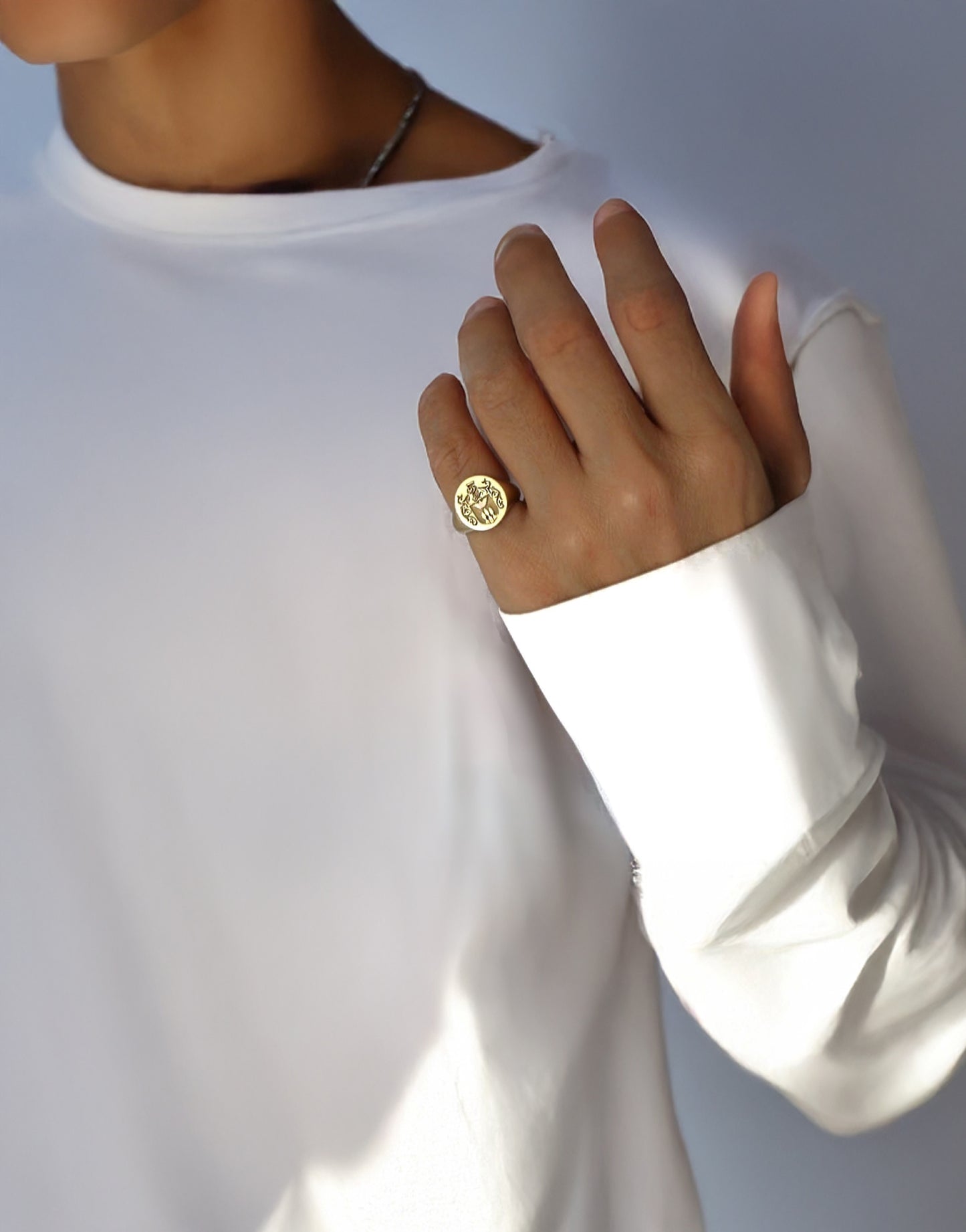 Sterling Silver Family Crest Signet Ring – Meaningful Jewelry Gift for Men, Father’s Day Gift, Birthday Gift for Dad or Christmas Gift for Him