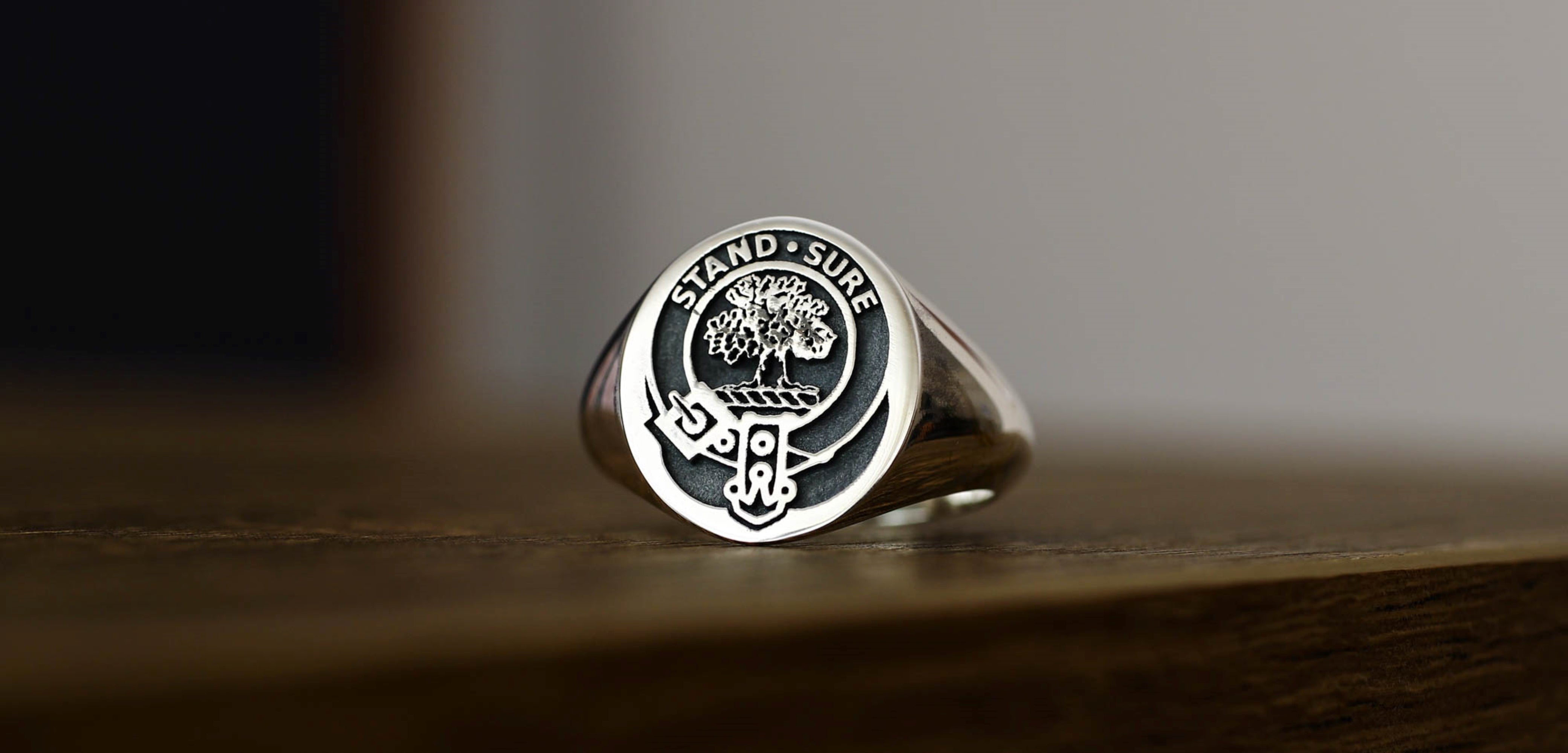 Silver Coat of Arms Signet Ring, Family Crest Rings, Family Crest